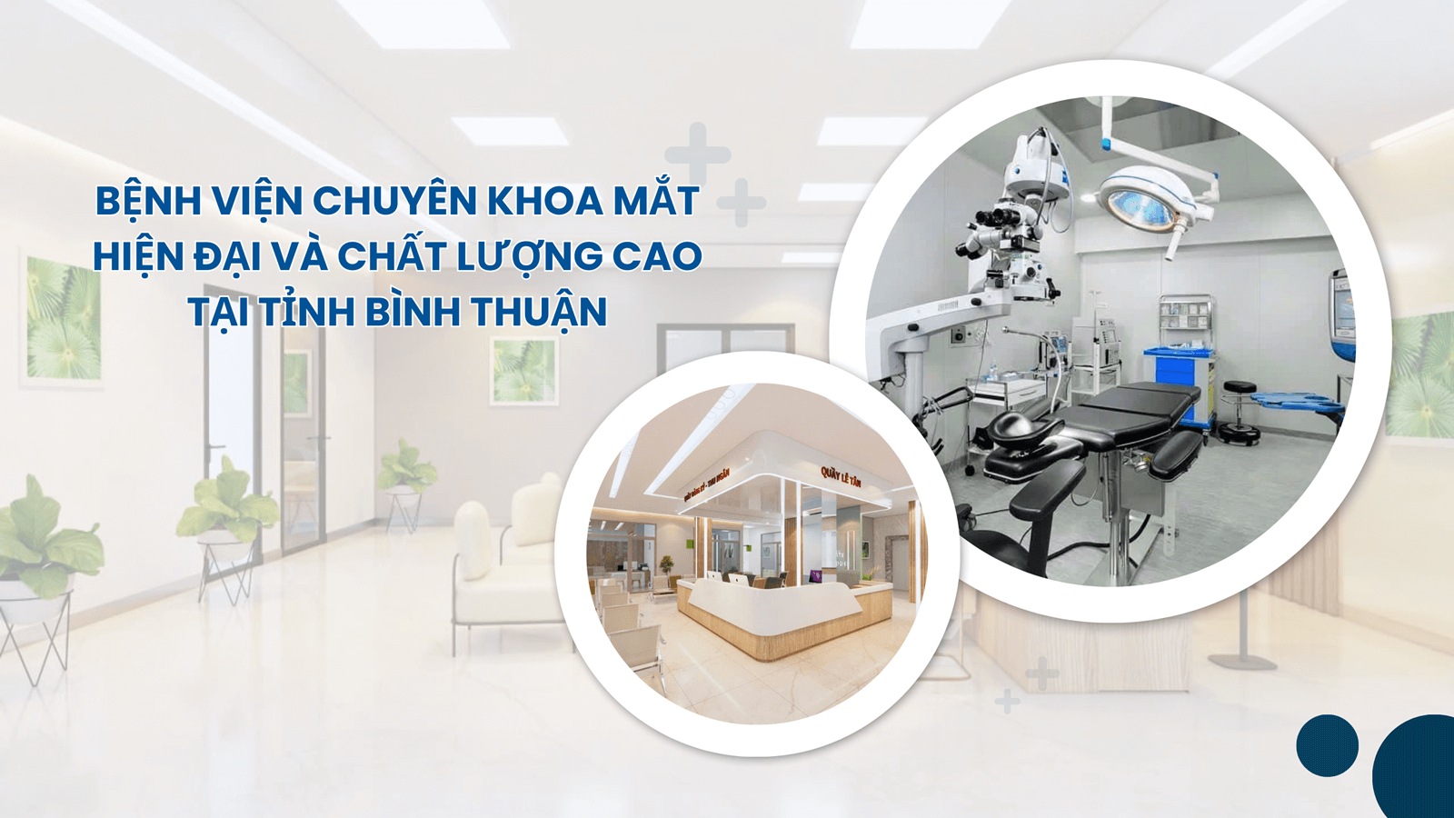 Dịch vụ